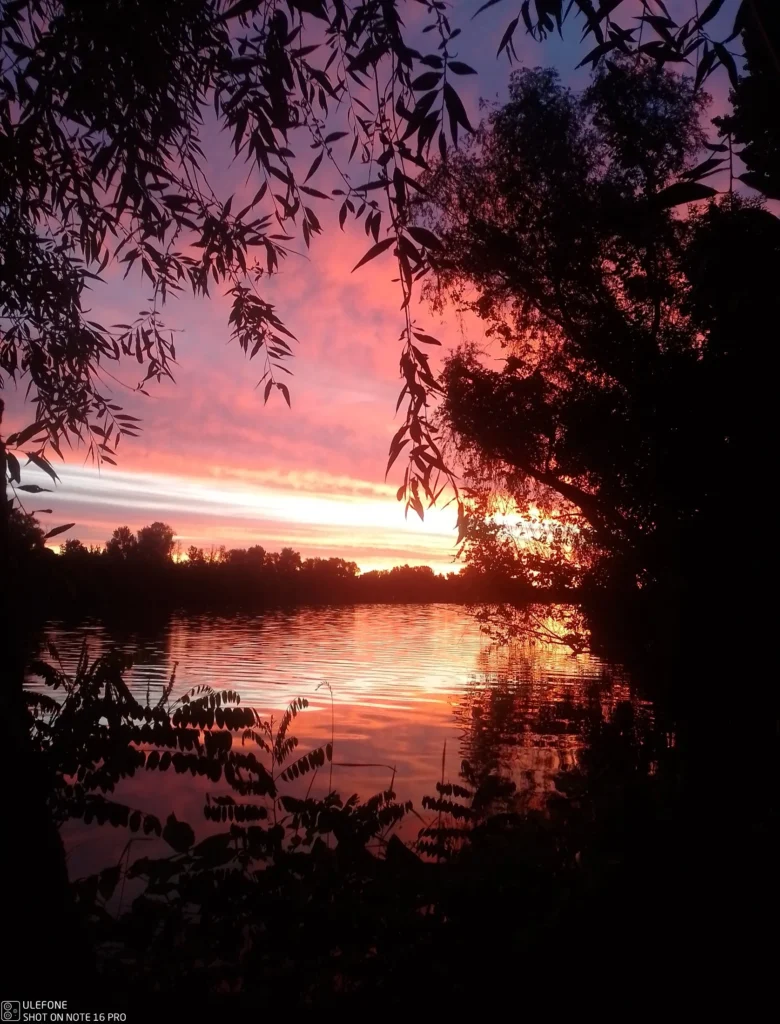 Tisza – vízparti pillanat 1 – Tisza folyó 395-266,5 fkm szakasz – Fotó: Bugylibicska