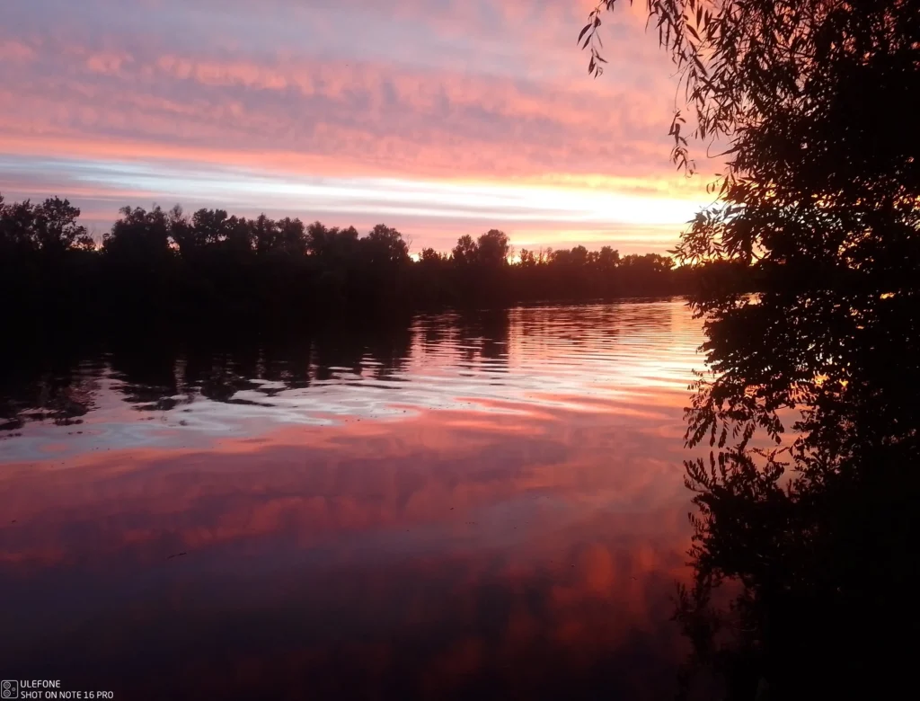 Tisza – vízparti pillanat 2 – Tisza folyó 395-266,5 fkm szakasz – Fotó: Bugylibicska