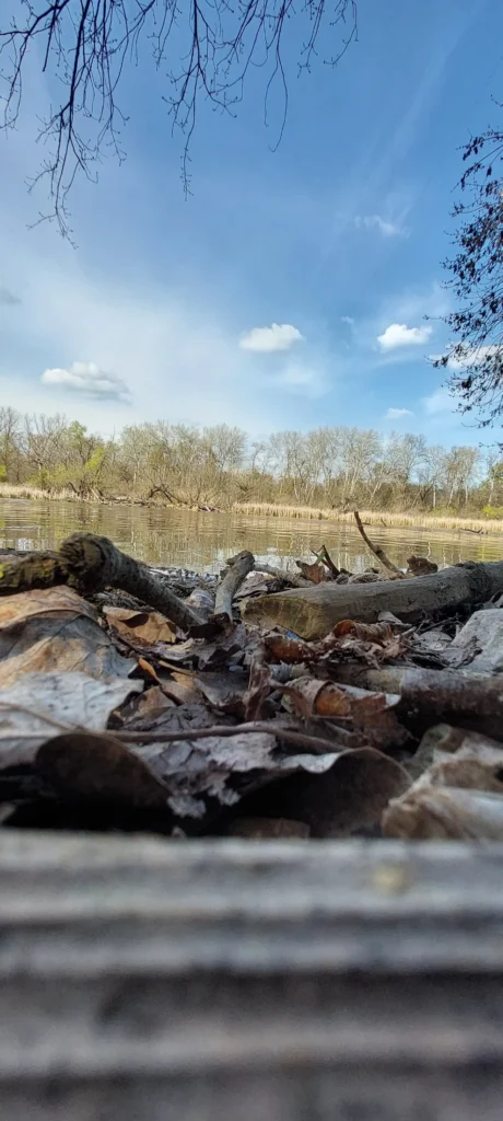 Lakitelek, Szikrai Holt-Tisza I.