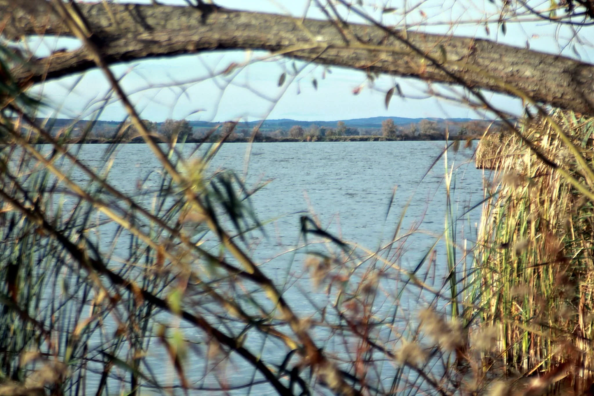 Kis-Balaton