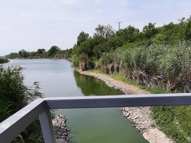 Gyálai Holt-Tisza (Fehérpart, Szilvás) (12+874-15+630) szelvény, Szélűskerti zsilip-Fehérparti zsilip közötti, Fehérpart- Szilvás elnevezésű szakaszai