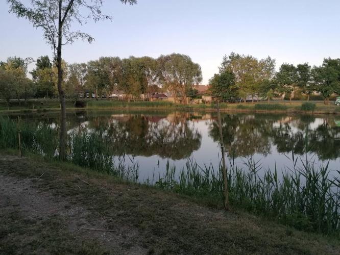 Mikota tó