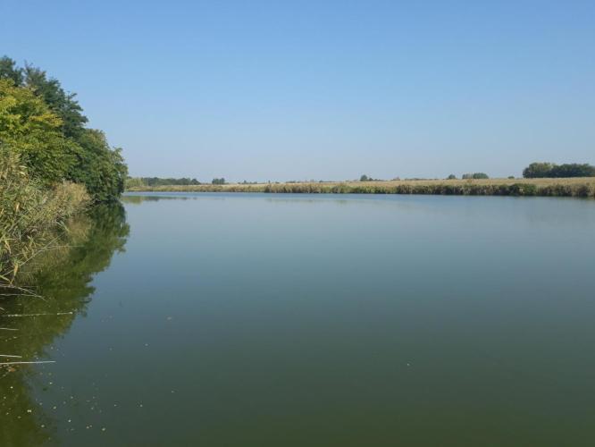 Gyálai Holt-Tisza „Sárgás-Görbe” szakasza