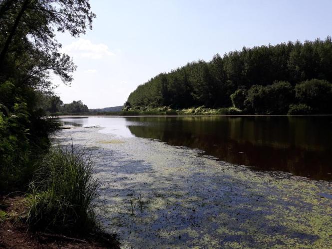 Akolszögi Holt-Tisza