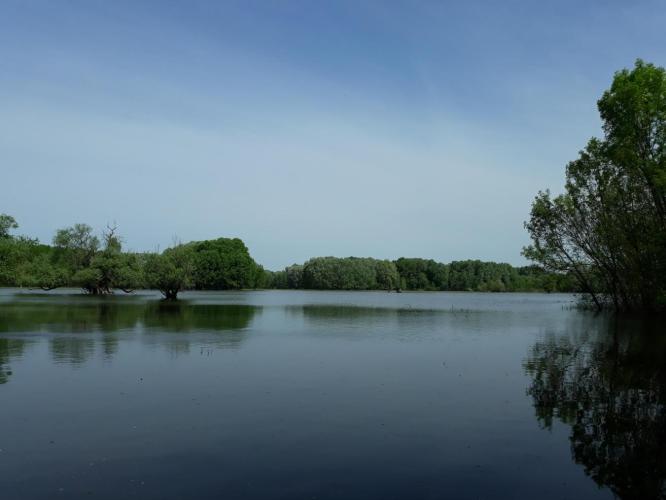 Körtvélyesi Holt-Tisza