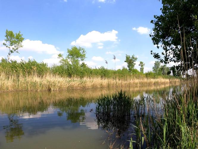 Duna-Tisza csatorna (Dunaharaszti, Taksony)