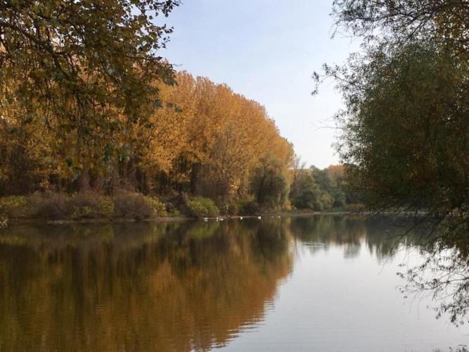 Tiszatarjáni Holt-Tisza