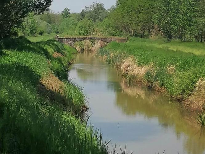 Taranyi Rinya patak