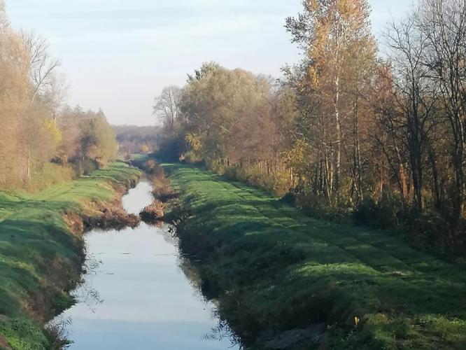 Nagyatádi Rinya patak