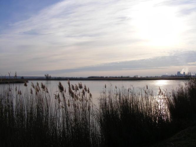 Várpalota S II. alsó-külső tó
