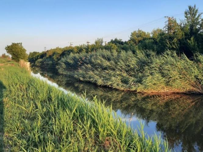 Kórógyéri főcsatorna Szentes-Hmvhely hídtól Pankotai őrházig