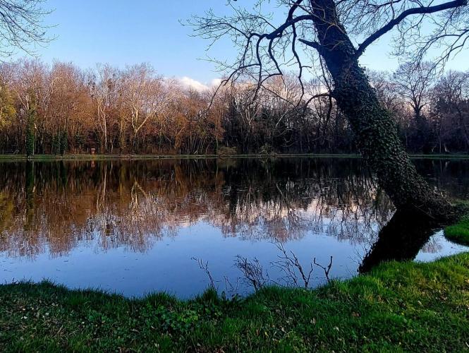 Dénesfai Park-tó