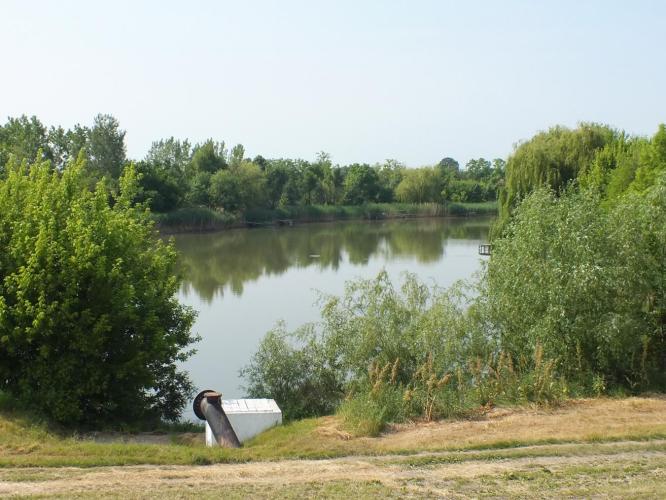 Torzsási-zugi holtág