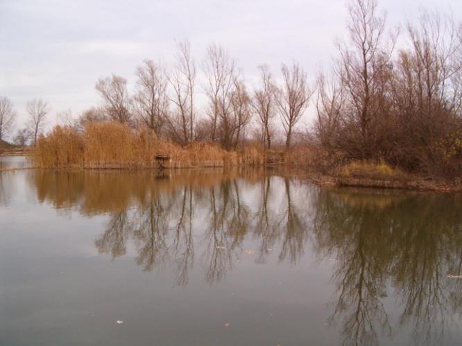 Szilsárkányi kavicsbányató
