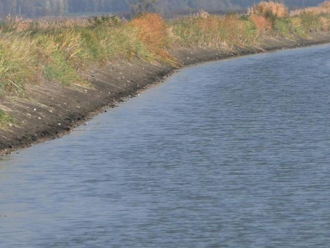 Nagytóti-Toprongyosi csatorna (Zsadány 043 hrsz.)