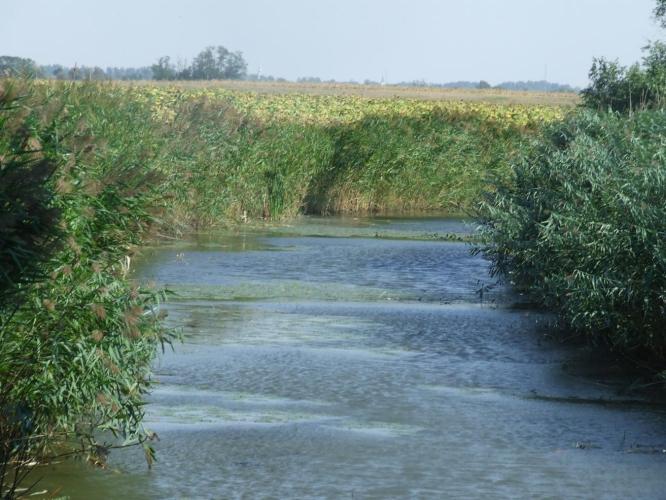 Büngösdi-főcsatorna