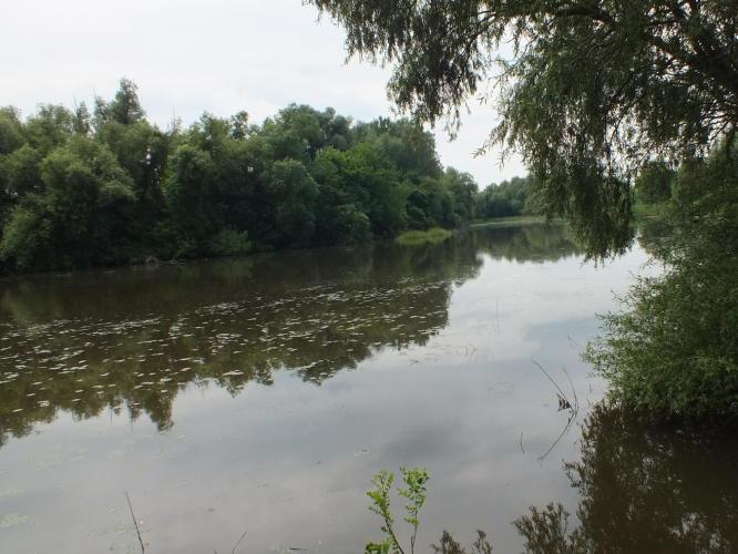 Kocsorhegyi (Borbély-zugi) holtág