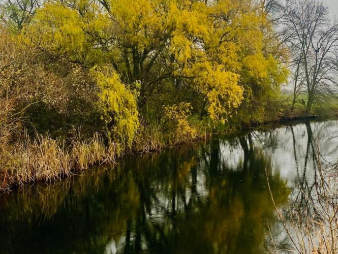 Vargahosszai főcsatorna