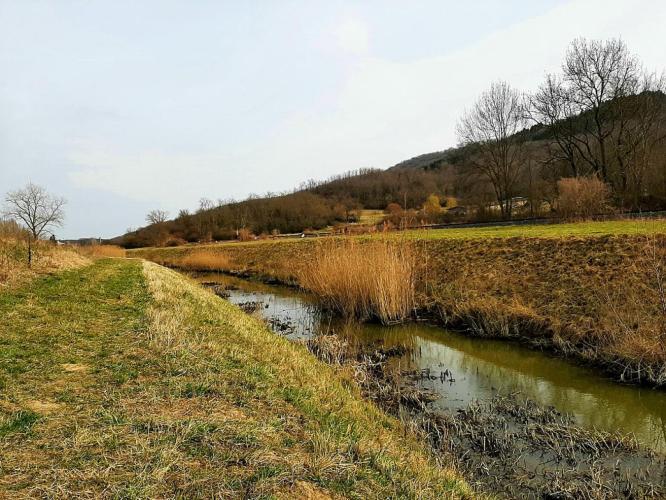 Baranyai kisvizek II.