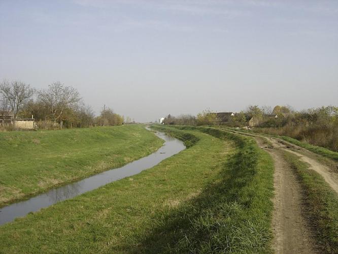 Baranyai kisvizek I.