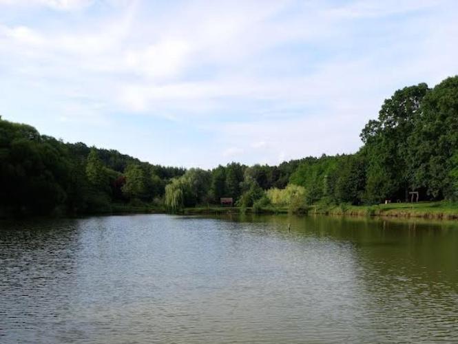 Jankókúti horgásztó