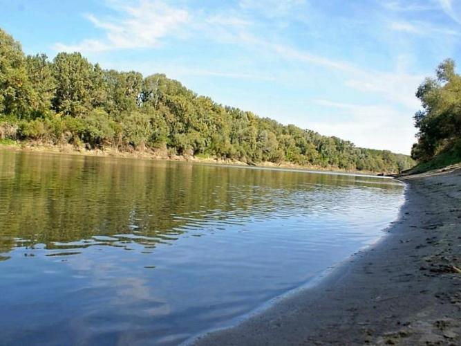 Tisza folyó Bács-Kiskun megyei, 266,5-258 fkm közötti szakasza
