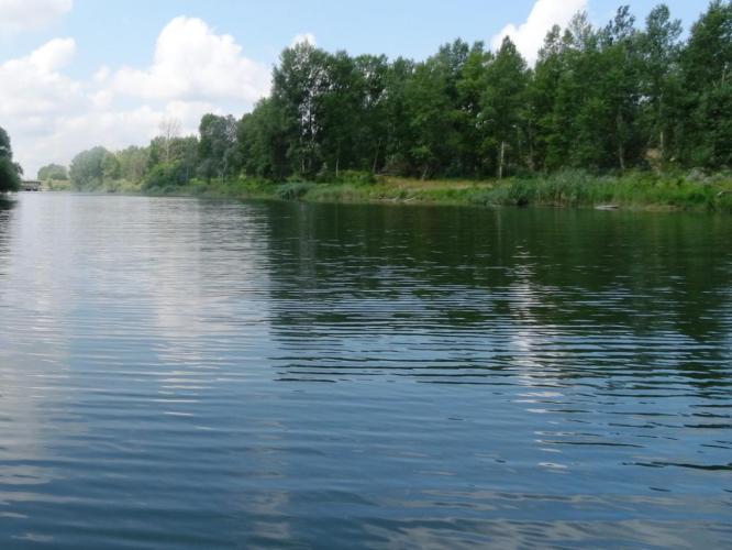 Mosoni Duna-Szivárgó-csatorna