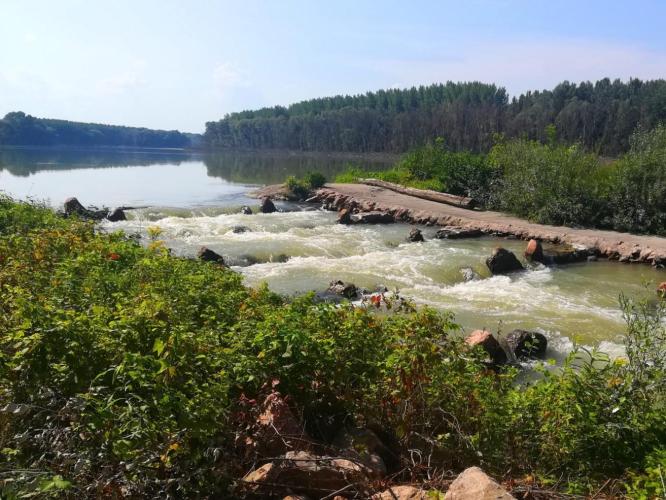 Szigetközi hullámtéri ágrendszer