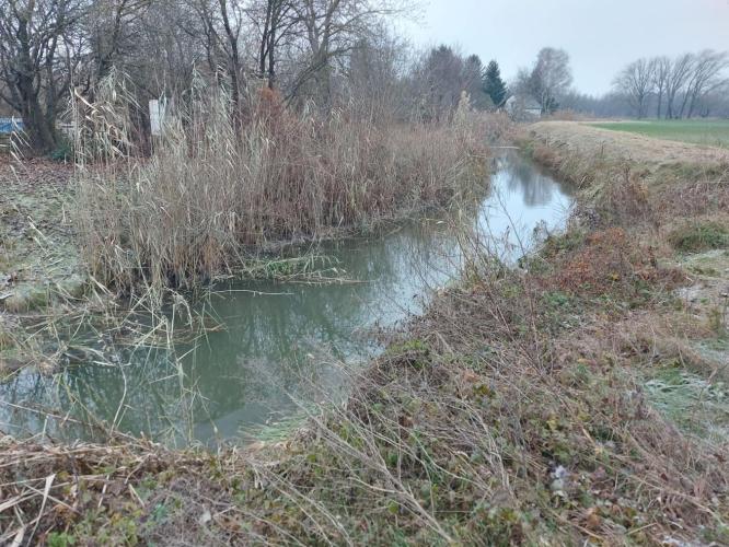Révfalui csatorna (Győr)