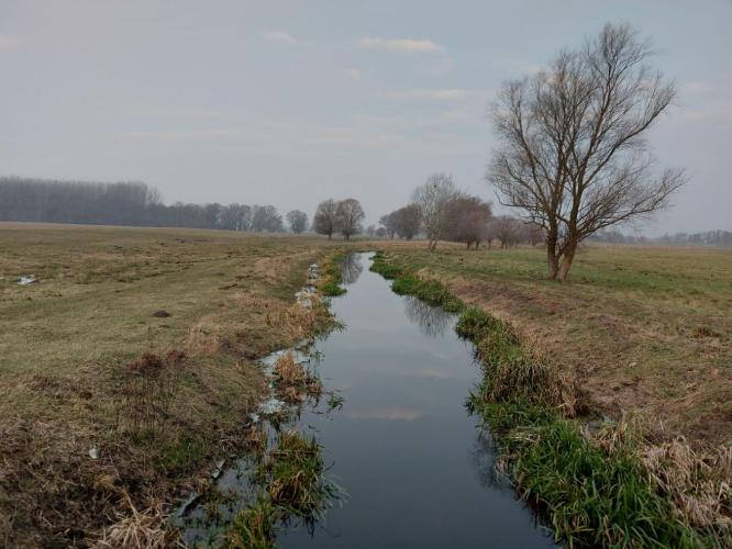 Lébény-Hanyi Főcsatorna