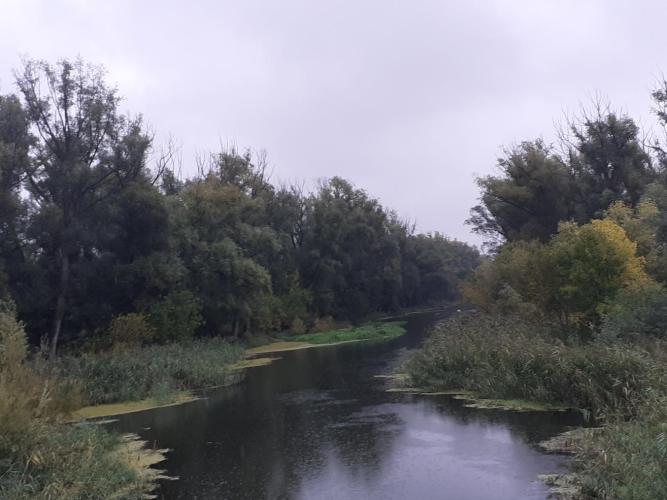 Rábca – Régi meder  (Abda-Pinnyéd)