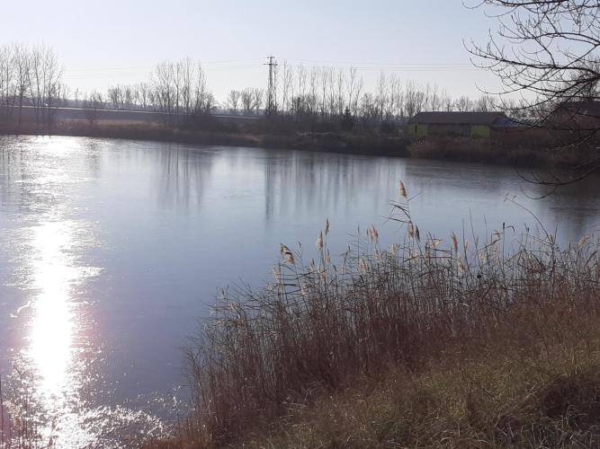Győr-Újváros, Négyszögtó