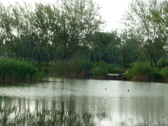 Győr-Újváros, Nagy tó