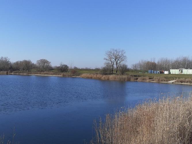 Győr-Újváros, Cigány tó
