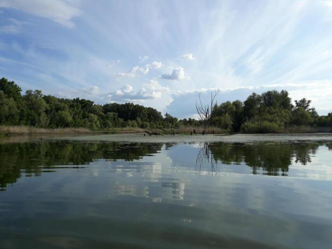 Mártélyi Holt-Tisza