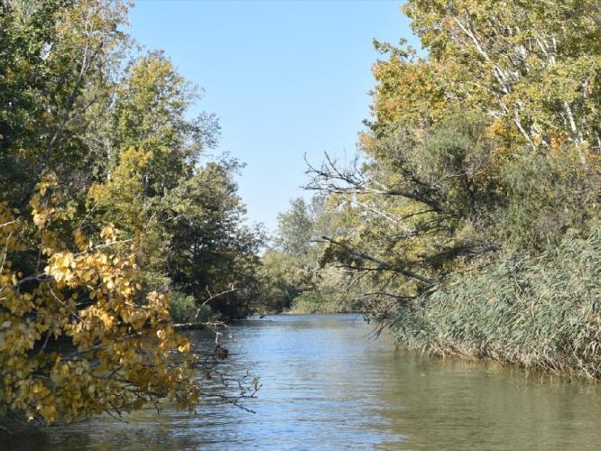 Tisza-tó (benne a Tisza folyó 440-403,2 fkm közötti szakasza) fotó
